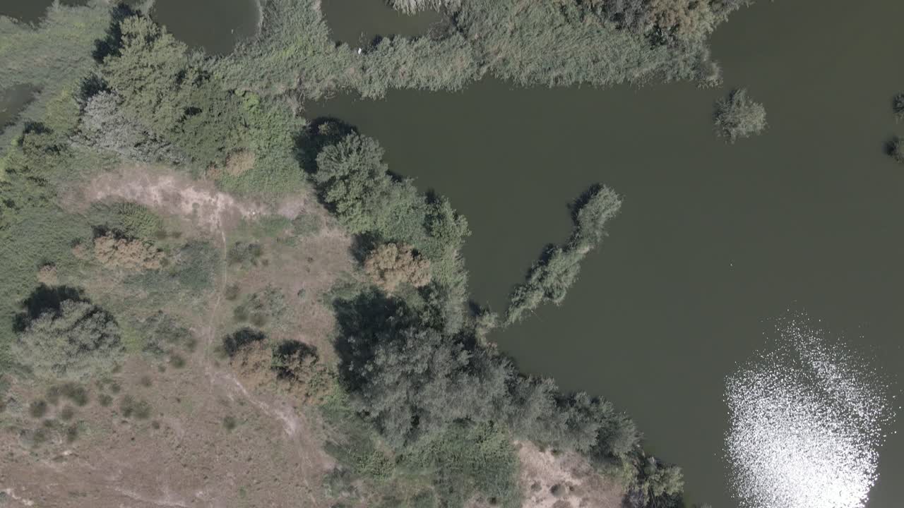 vista cenital de un humedal