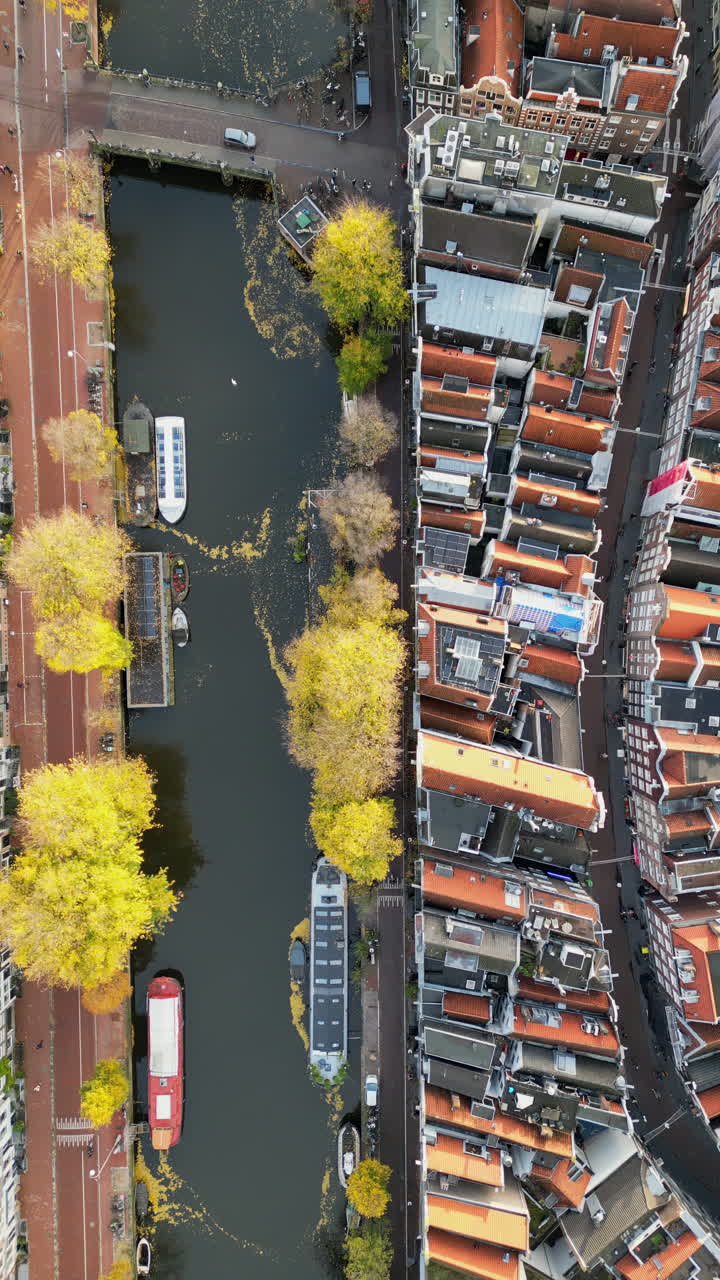 Aerial drone view of buildings surrounding a tree-lined canal in Amsterdam, Netherlands in daylight. Vertical