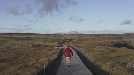 Traveling-man-walking-along-wooden-path-in-mountain-valley