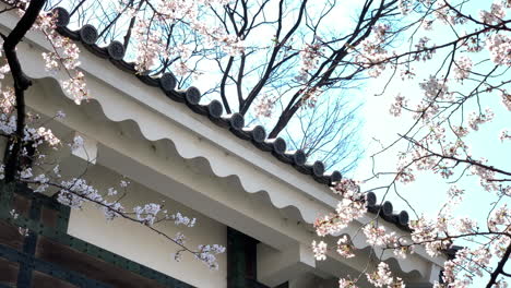 the ceiling of imperial palace entrance at chidorigafuchi park