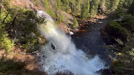 A-small-waterfall-in-the-forest