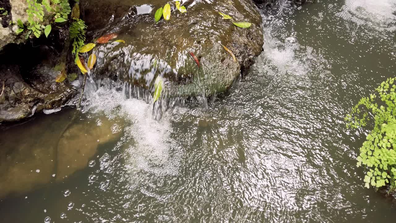 Il paesaggio con alberi, piccole cascate e una varietà di piante; l'atmosfera è fresca e limpida