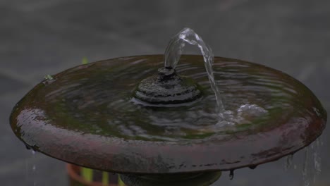 fuente en el parque