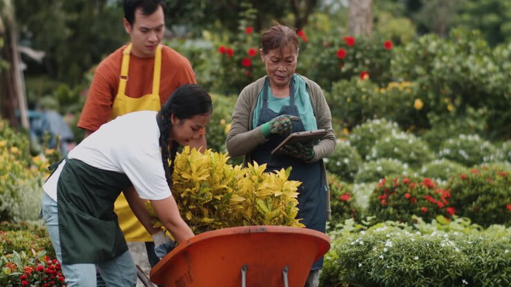 Gardeners working outdoors