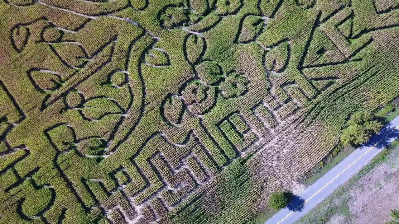 미시간 농장의 광대한 옥수수 미로 위의 안테나 4