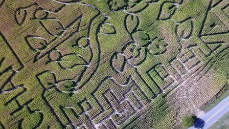 Eine-Antenne-über-Einem-Riesigen-Maislabyrinth-Auf-Einer-Farm-In-Michigan-4