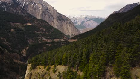 aerial drone shot of trees and mountains near duffey lake in british columbia