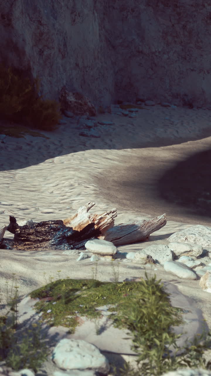 escena del arroyo del desierto