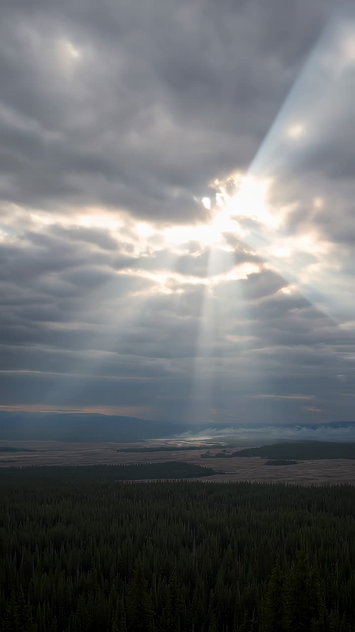 Dramatic Sunrays Piercing Through Dark Clouds Over a Forest Landscape