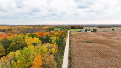 Herbstfarben-Blühen-Von-Bäumen-In-Der-Mitte-Von-Michigan