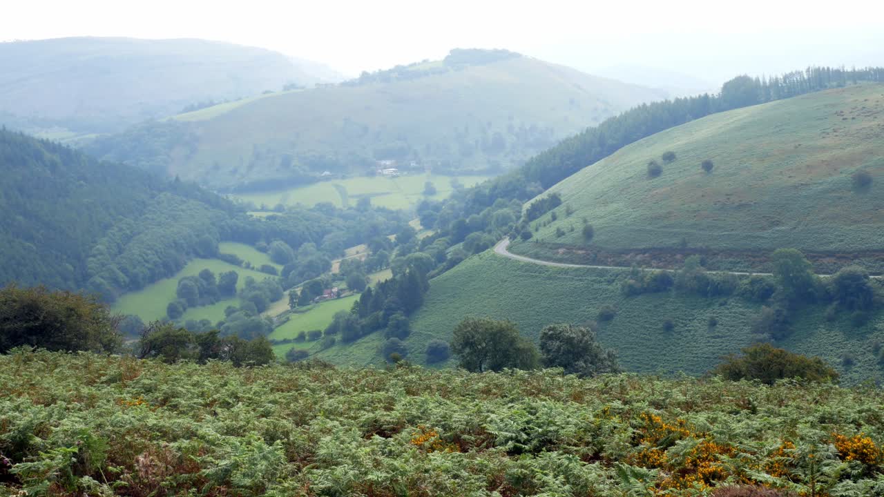 mañana brumosa vista del paisaje del valle de la montaña a través de la campiña de senderismo de brezo escénico rural