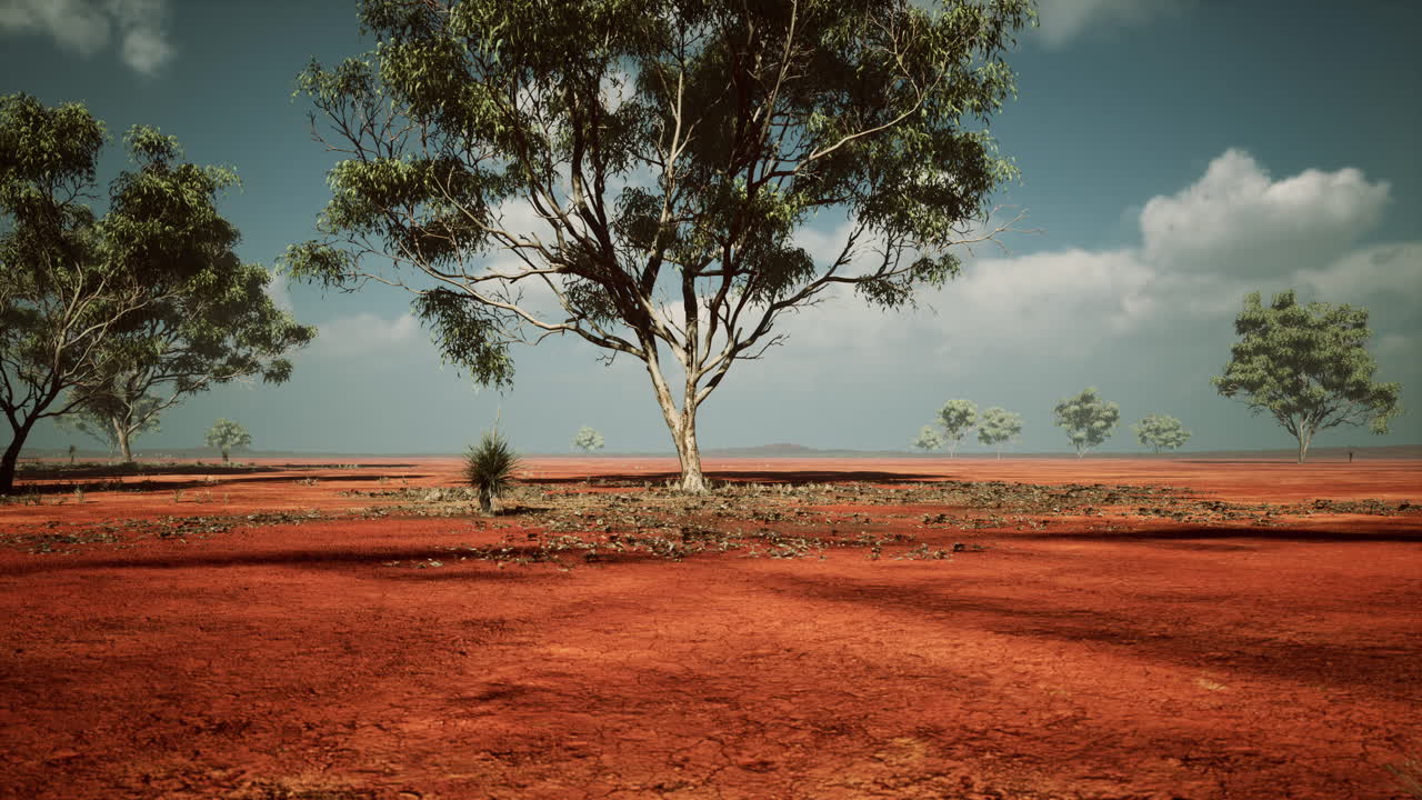 아카시아 나무 가 있는 아프리카 풍경