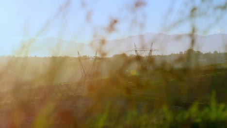 animación de la hierba fuera de foco en un campo soleado