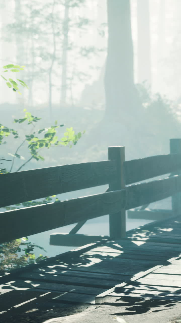 안개 숲의 다리