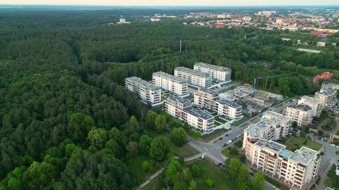 Vista drone di un complesso residenziale nascosto in una fitta foresta