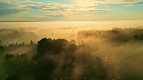 flying over a misty forest, a drone captures the golden hour