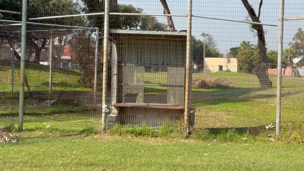 Recinto con reti da cricket per allenamento, logoro, su un campo sportivo suburbano.