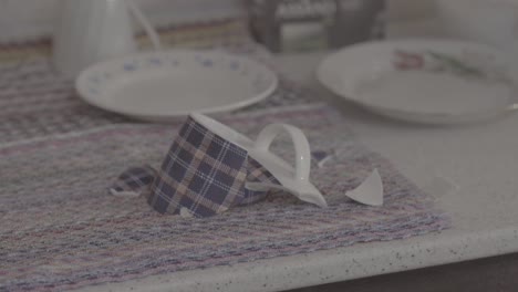 broken plaid coffee cup on kitchen counter