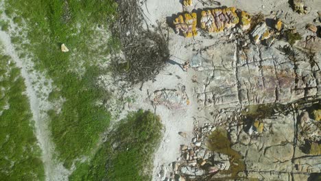 el primer pueblo costero indígena del sur de áfrica, el strandloper