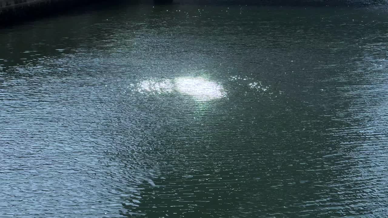 la luz del sol se refleja en la superficie ondulada del agua, creando un estado de ánimo tranquilo y sereno