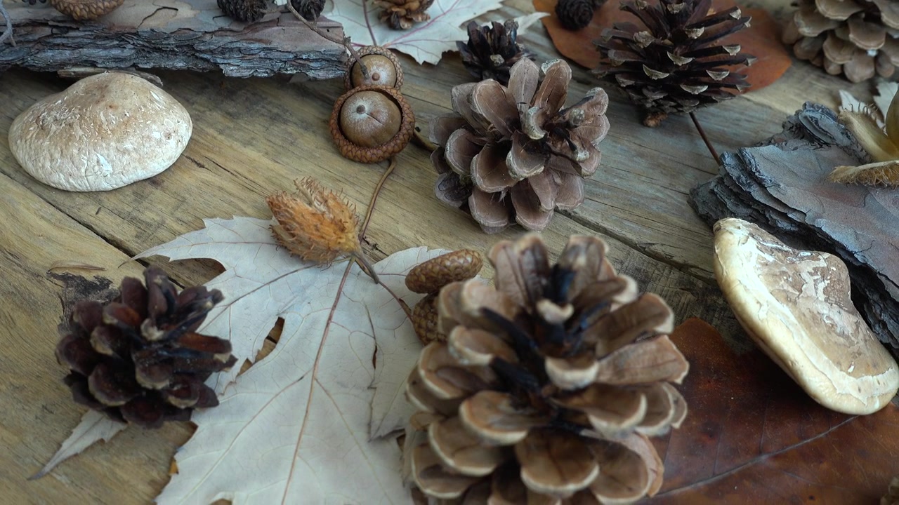 Autumn still life on a wooden vintage board.
