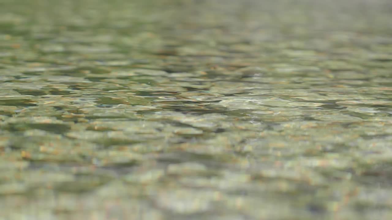 Clear Shallow Water with Rocks