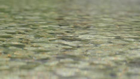 clear shallow water with rocks