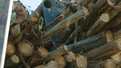 eucalyptus logs dropped onto pile by crane claw arm, close-up, 60fps