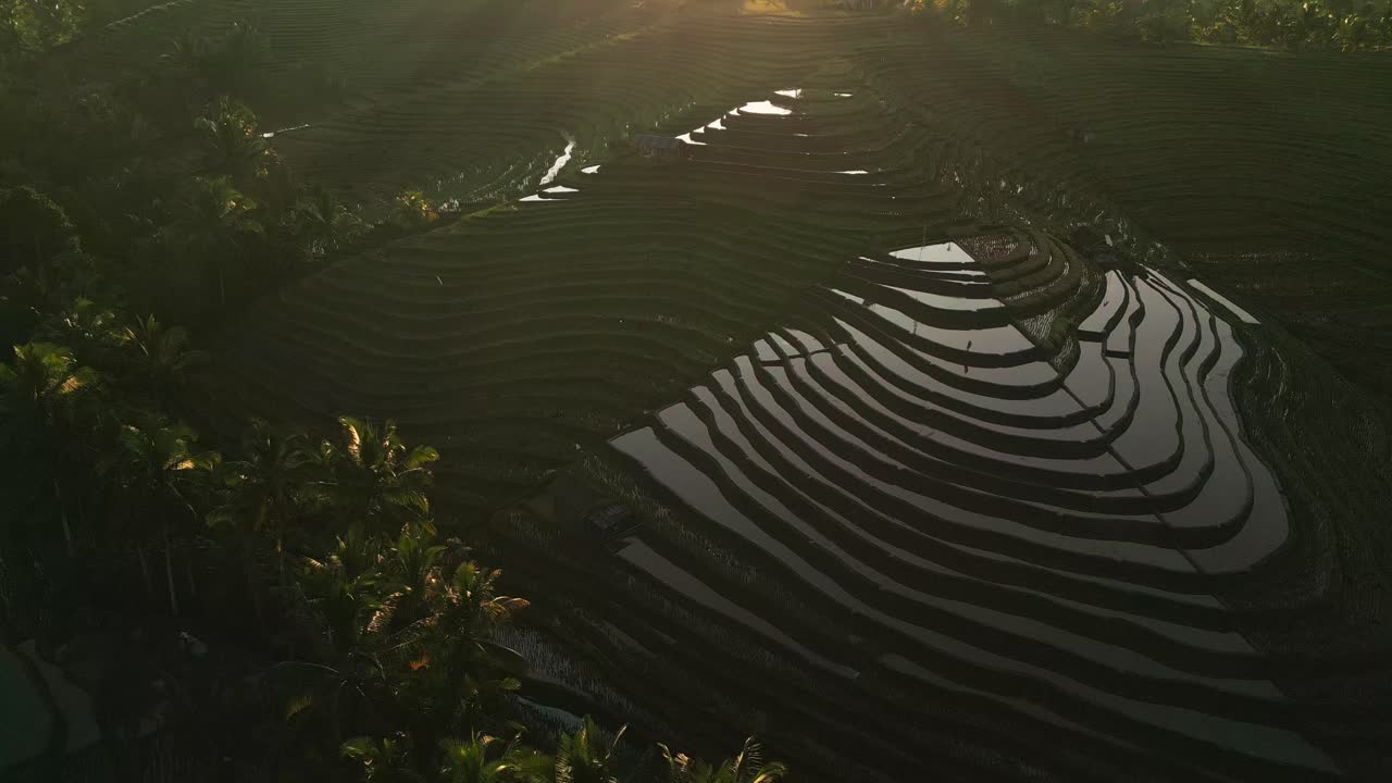 The misty morning at Belimbing Rice Terrace showcases calm water-filled paddies reflecting the sky as gentle sun rays filter through, offering a serene and picturesque Bali scenery
