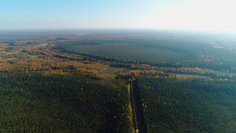 Bunte-Saisonale-Wälder-Im-Herbst-Fallen-Aus-Der-Luft