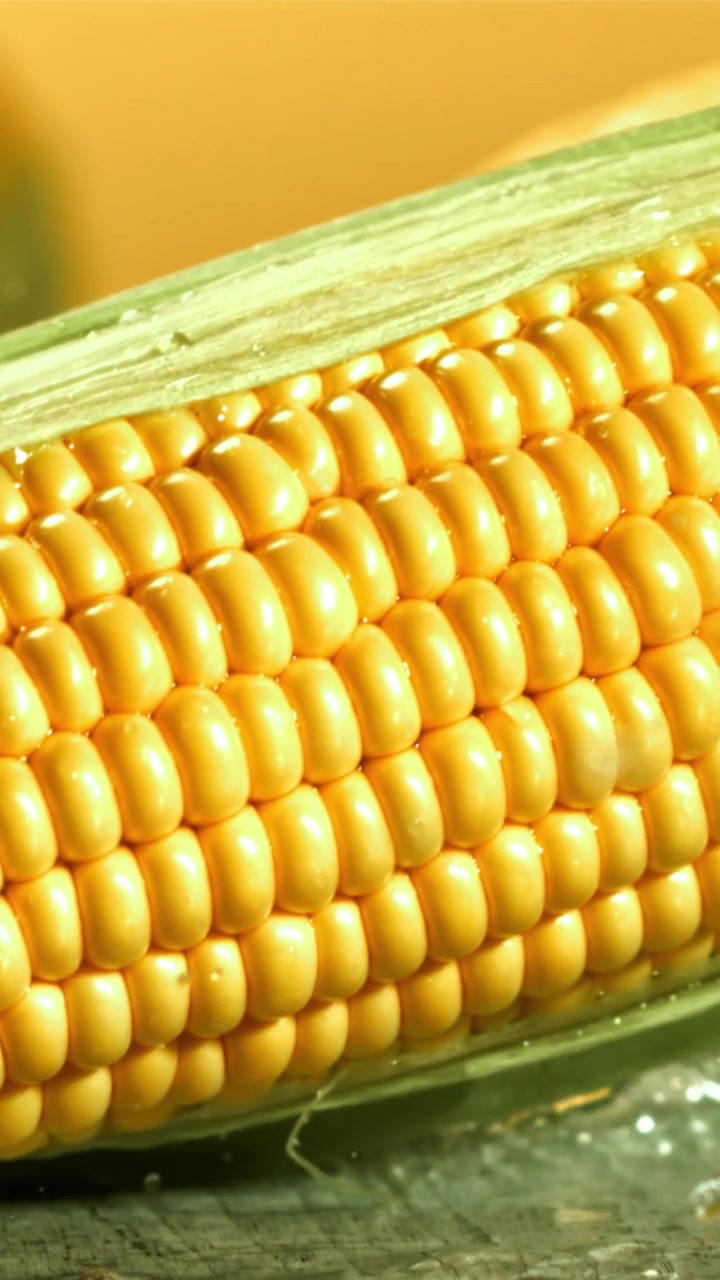 Vibrant Yellow Corn on the Cob with Splashing Water