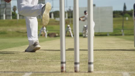 vista de cerca del partido de cricket en el campo