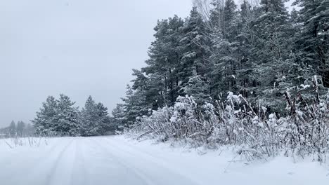 Waldweg-Und-Bei-Starkem-Schneefall-Im-Winter-Mit-Schnee-Bedeckt