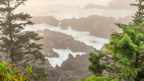 Timelapse-De-Niebla-Y-Niebla-Rodando-En-La-Península-De-Ucluelet-