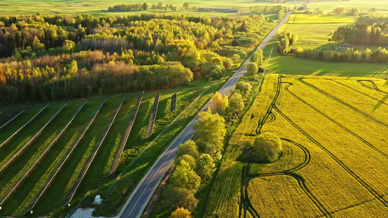 Aerial view of countryside road with canola fields, tree rows and visible solar panel array