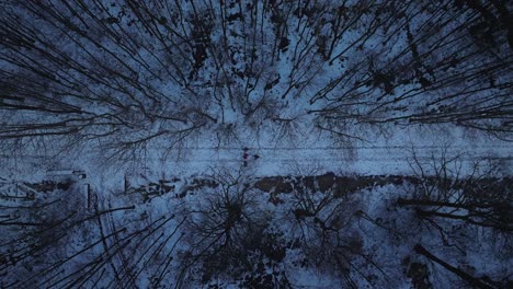 aerial view of a group of travelers are walking along a forest road in winter