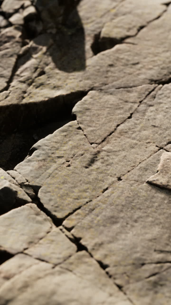 균열 된 암석 표면의 클로즈업