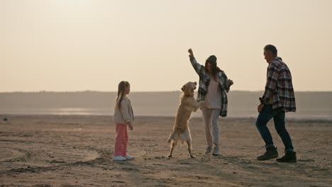 Husband-and-wife-in-plaid-shirts-together-with-their-little-daughter-play-on-a-deserted-beach-with-their-big-cream-dog-pet-on-a-deserted-seashore-in-summer-during-a-picnic-outside-the-city