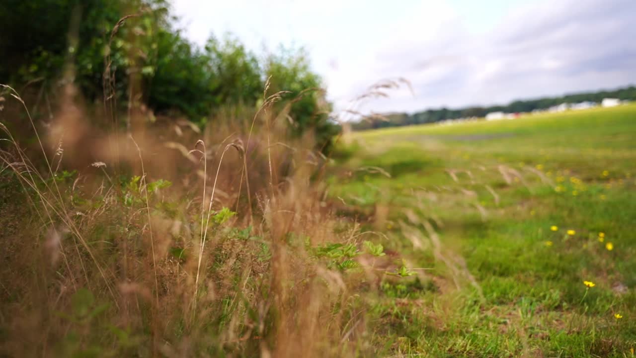 Forest end with grass transitioning to a mode with a small plane and runway