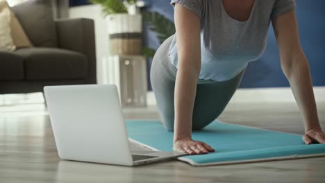 Video-Estático-De-Mujer-Haciendo-Flexiones-En-Casa.