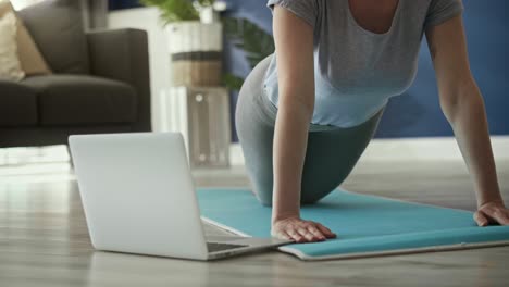 Static video of woman doing push ups at home