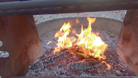 throwing dried leaves on coals to create flames inside a fire ring at campground