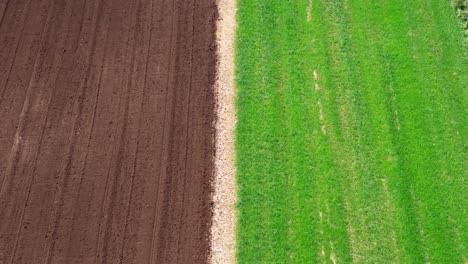 Vista-Aérea-De-Tierras-Cultivadas-En-Campos-Agrícolas