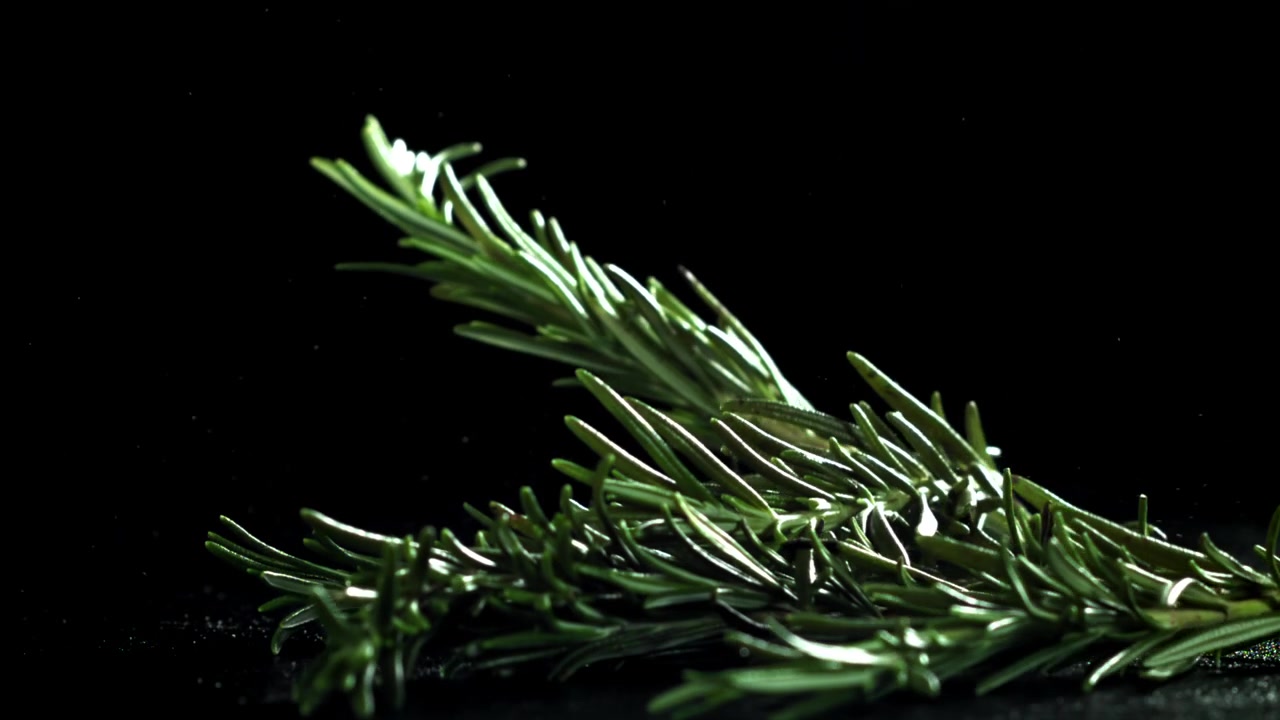 Slowmotion af frisk rosmarinkvist, der falder ned på sort baggrund