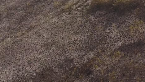 desolate scene of fire scorched mountain terrain, brazil