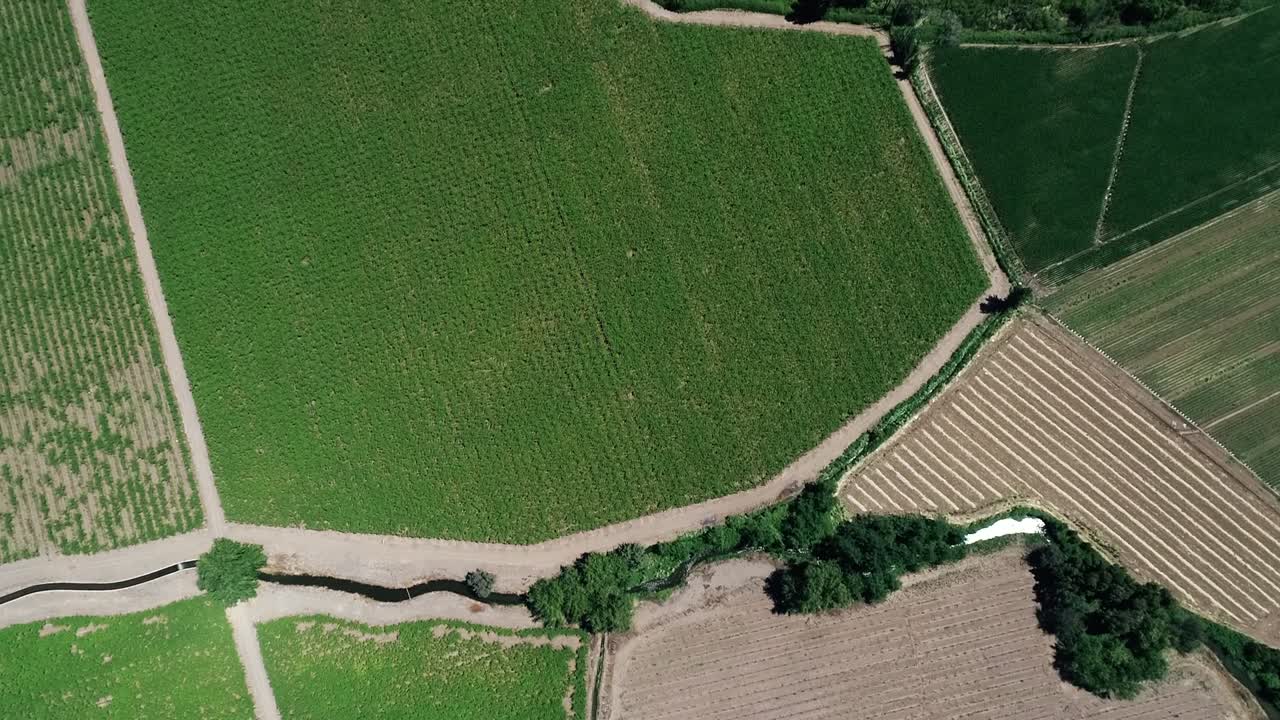 imágenes de drones de 60 fps de un bonito paisaje del valle chileno lleno de viñedos