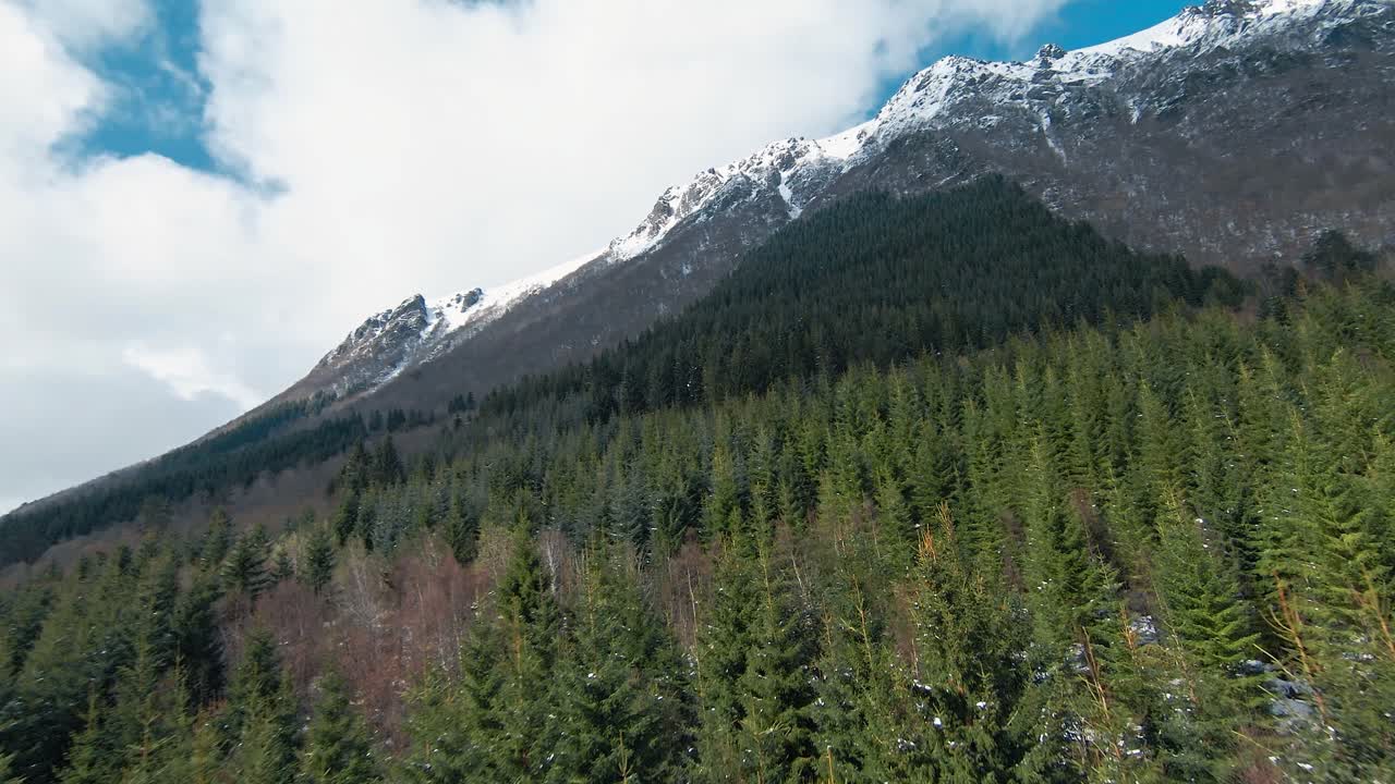 drone volando hacia una gran montaña cubierta de nieve sobre un bosque de abetos, hermosos paisajes capturados en las montañas noruegas