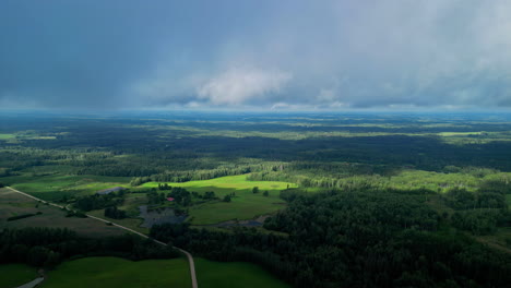 Toma-Aérea-De-Un-Denso-Bosque-Verde-Y-Un-Cielo-Azul