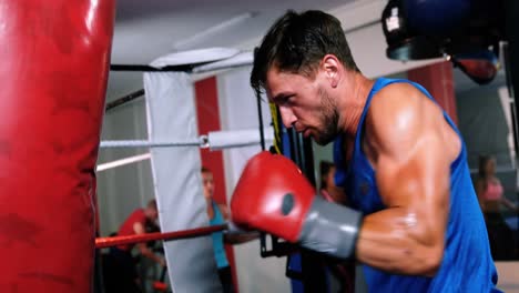 boxeador practicando boxeo con un saco de boxeo