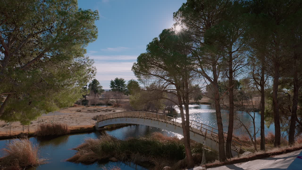 pintoresco puente sobre un oasis fluvial con árboles y el sol brillando a través de las ramas - fondo estático